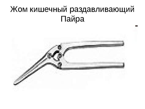 Жом кишечный раздавливающий Пайра Зажим Алиса (Элиса)