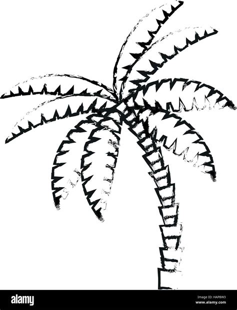 Isolated Palm Tree Design Stock Vector Image And Art Alamy