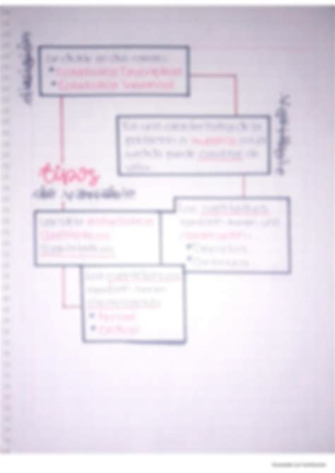 Solution Estad Stica Y Tipos De Variables Studypool