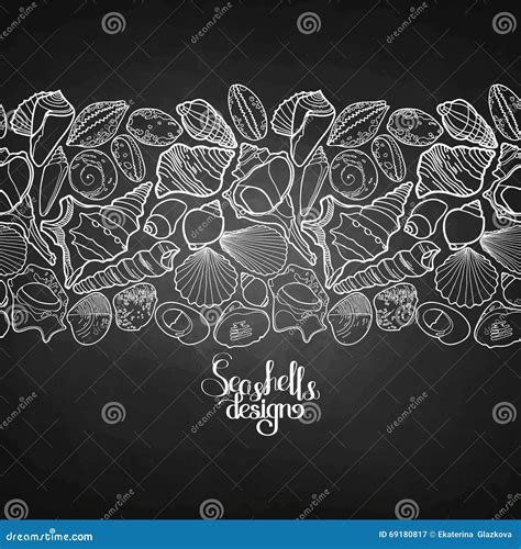 Graphic Seashells Border Stock Vector Illustration Of Graphic