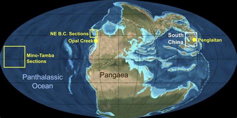 Permian Mass Extinction Paleontology World