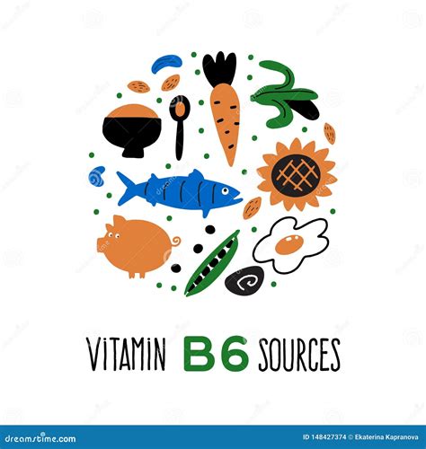 Vitamin B Food Sources Pyridoxine Vector Cartoon Illustration