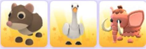 Roblox Adopt Me Rare Pets Video Gaming Gaming Accessories In Game