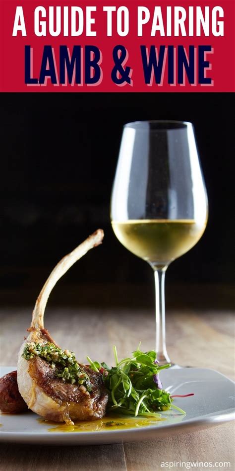 The Perfect Pair Best Wines For Lamb Pairings Aspiring Winos