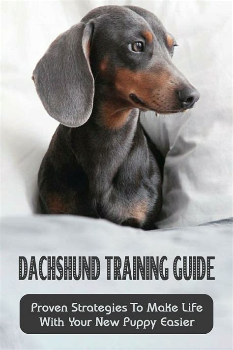 Dachshund Training Guide: Proven Strategies To Make Life With Your New ...