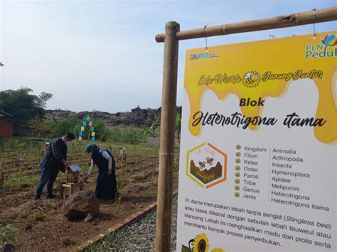 Kontribusi Tingkatkan Perekonomian Masyarakat PLN Group Borong