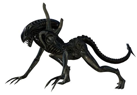 Xenomorfo Png Baixar Imagens Em Png Images And Photos Finder