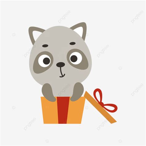 Pequeño Y Lindo Mapache Sentado En Una Caja De Regalo Png Bosque