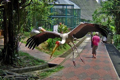 Atracții Turistice în Kuala Lumpur