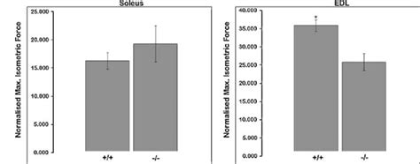 Contractile Parameters Of Muscles From 8 Week Old Mice Maximum