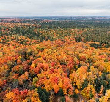 Interactive Ways to See Fall Foliage | Michigan