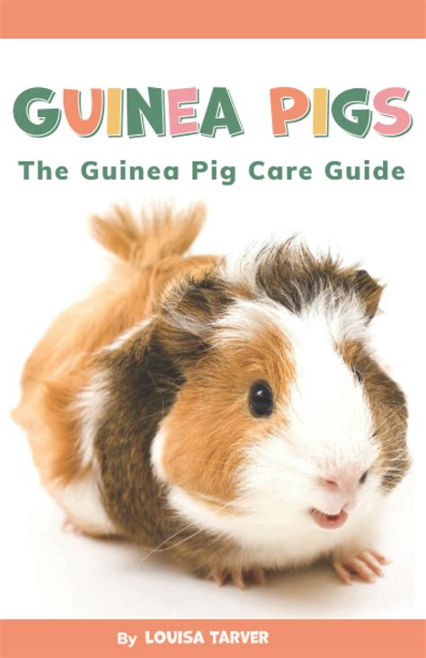 Buy Guinea Pigs The Guinea Pig Care Guide Complete Beginners Guide