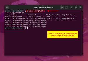 How To View Linux File Timestamps Easy Methods