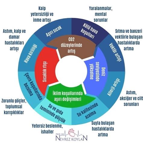 Plastikler ve yarattıkları çevre ve sağlık sorunları Prof Dr Nevrez