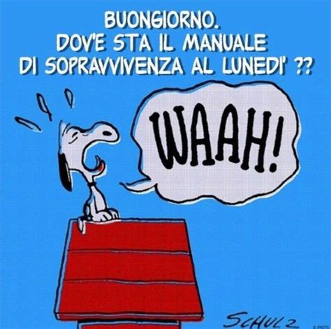 Pin di BuongiornoColSorriso it su Buongiorno Lunedì divertente