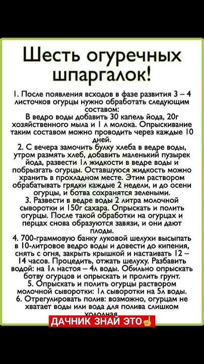 #советы #полезныесоветы #дача #огород #дачныесоветы - YouTube