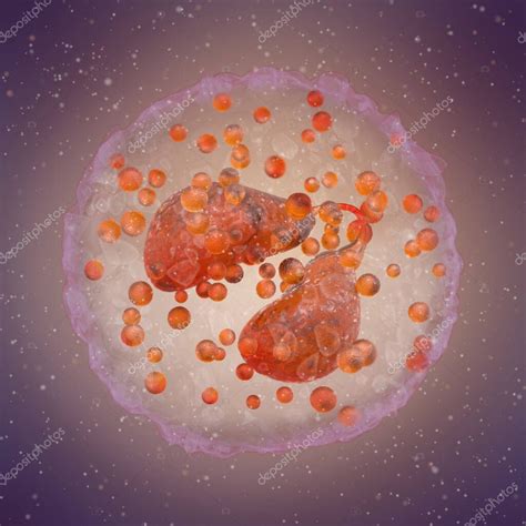 Antecedentes De La Ciencia M Dica Eosin Filos Un Tipo De Leucocito