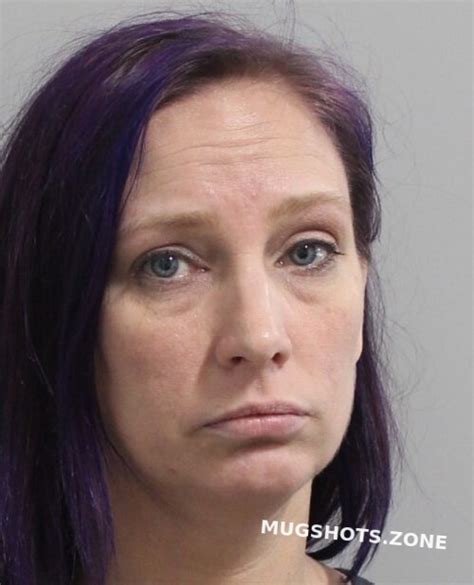 Johnston Crystal Lynn Polk County Mugshots Zone