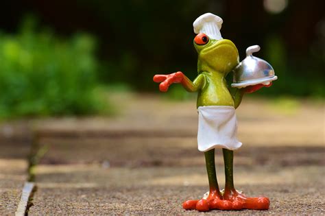 Free Images Play Sweet Cute Food Green Red Cooking Kitchen