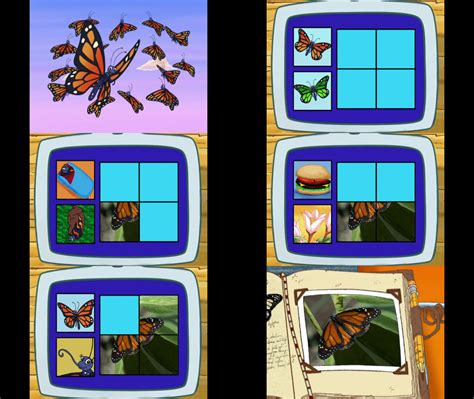diego  monarch butterfly  mdwyer  deviantart