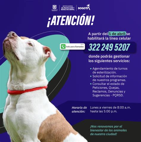 Antara Santuario Canino Cambia Una Vida Con Tu Ayuda HSB NOTICIAS