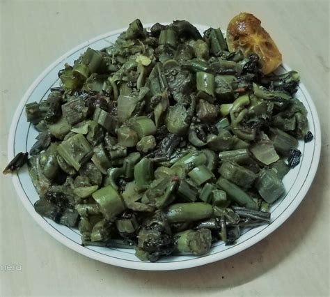 Diplazium Esculentum Retz Sw Lingad लिंगड़ Himalayan Wild Food