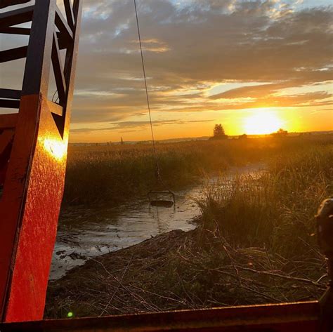 Restorations Support Wildlife And Clean Water At Thriving Wetland In
