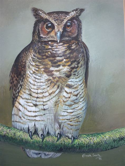 "Fraser's Eagle Owl" - Strix Editions