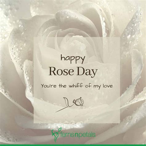 Top 999 Happy Rose Day Quotes Images Amazing Collection Happy Rose