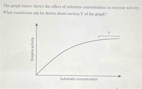 Solved The Graph Below Shows The Effect Of Substrate Concentration On Enzyme Activity What