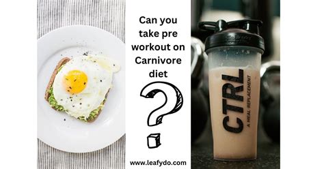 Can You Take Pre Workout On Carnivore Diet A Complete Solution