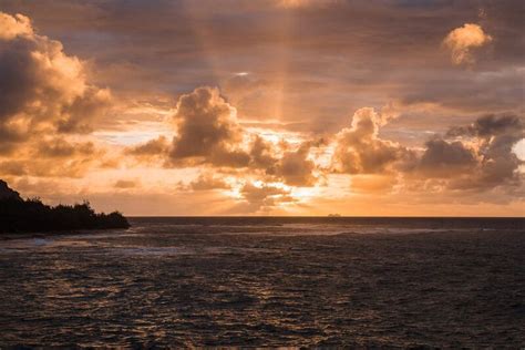 Kauai Elopement Photographer Between The Pine Hawaii Adventures