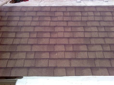 Live Roof 4 Low Maintenance Vegetation Duro Last Slagle Roofing