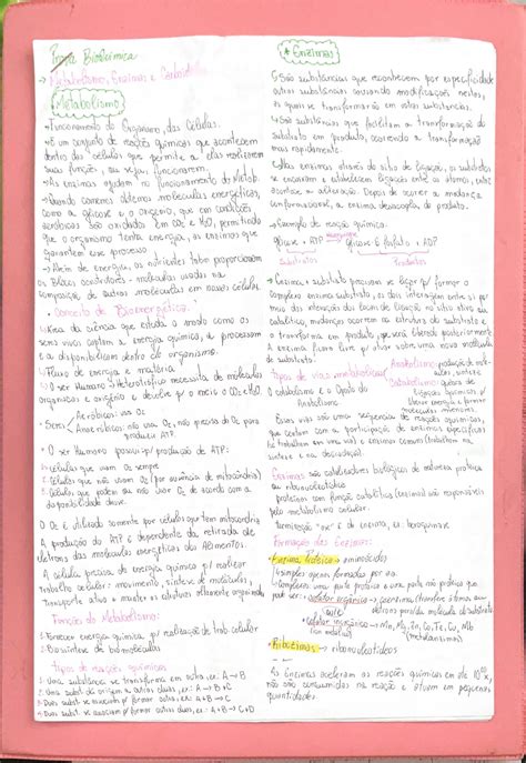 Solution Bioqui Mica Resumo De Metabolismo Enzimas E Carboidratos