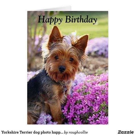 Carte Joyeux Anniversaire Avec Des Chiens Bookendsetc