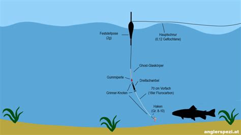 Forellen Montage F R Aktive Oder Passive Forellen