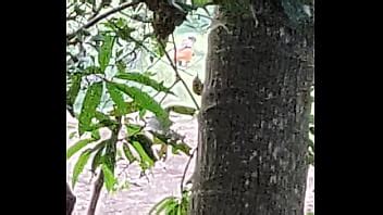 Desi Out Door XVIDEOS