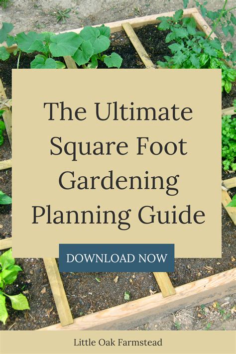 Plan Your Perfect Square Foot Garden With Our Free Printable Layout Pd