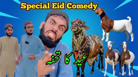 Special Eid Funny Comedy Short Films 😆 Eid Se Pehle Qasai Ke Nakhre