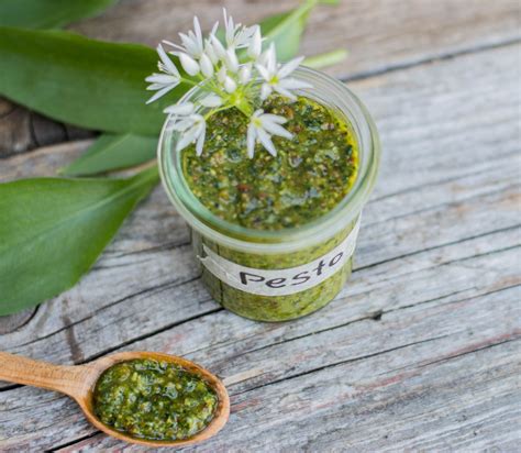 Bärlauch Pesto Das etwas andere Pesto im Frühling