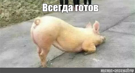 Meme: "Всегда готов" - All Templates - Meme-arsenal.com