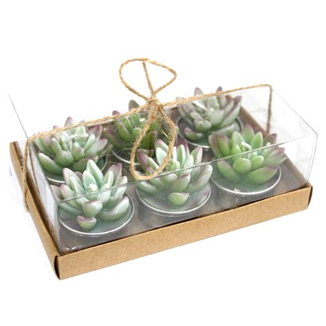 Lot De 6 Bougies Cactus Agave