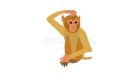 Brooding Monkey Icon Animation Stock Footage Video Of Icon Africa