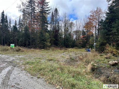 Terrain résidentiel à vendre Notre Dame Des Bois 1053404