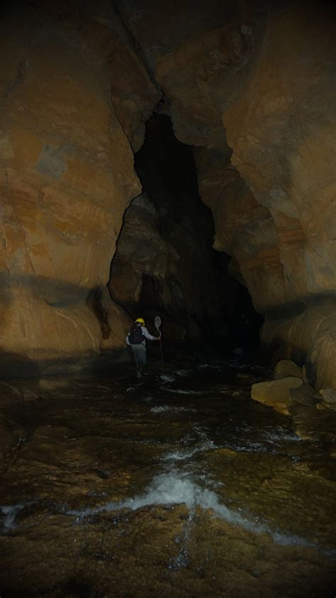 Caves Of Meghalaya Is A Unique Ecosystem And Potentially Hold Many Yet