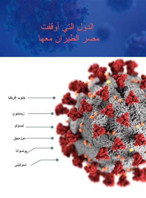 بعد ظهور المتحور الجديد هذه الدول أعلنت مصر إيقاف الطيران معها إنفوجراف