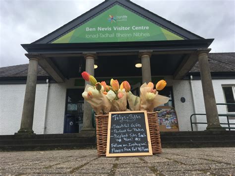 Public Transit Guide to Ben Nevis and the Highland Visitor Centre 29