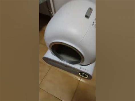 Умный туалет для кошек #кошки #китай #гаджет - YouTube