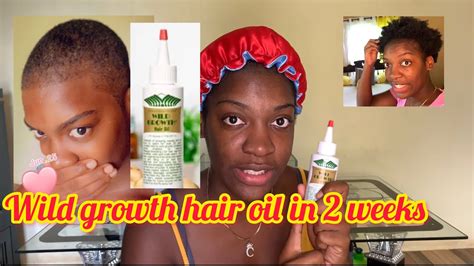 How To Use Wild Growth Hair Oil For Massive Hair Growth 2021 Youtube