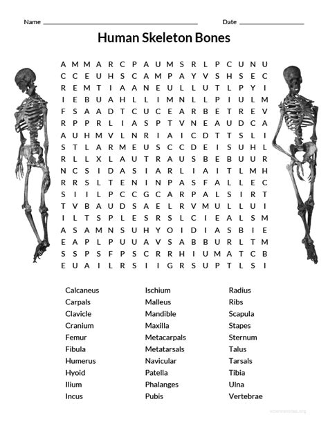 Skeleton Words